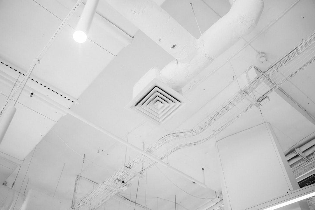 Unraveling the Mystique of the Carpet Python