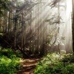 Easy Mountain Hiking: A Beginner’s Guide