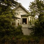 Unleashing the Illusion: Shiny Zoroark’s Dazzling Deception