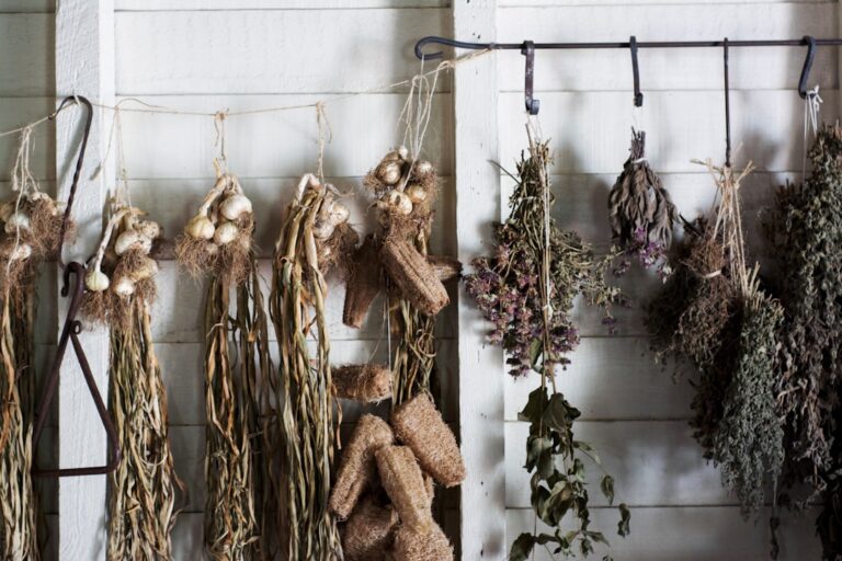 Unlocking the Benefits of Kalawalla Root