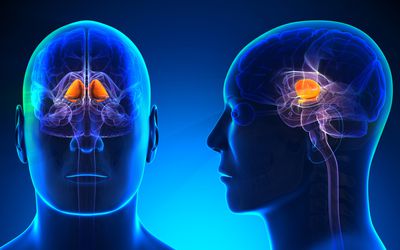 CAN LUPUS AFFECT THE CENTRAL NERVOUS SYSTEM?