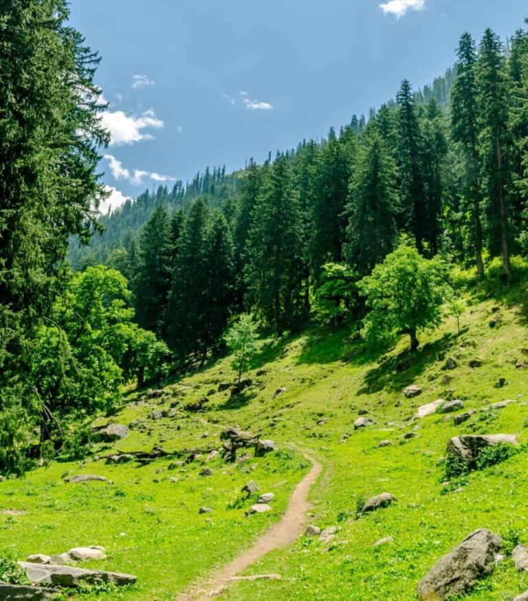 Complete Beginners Travel Guide to kheerganga trek