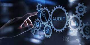 The Evolution of Online Audit: Enhancing Financial Oversight in the Digital Age