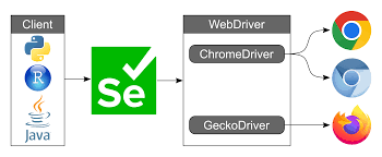 Everything You Need To Know About The ChromeDriver in Selenium