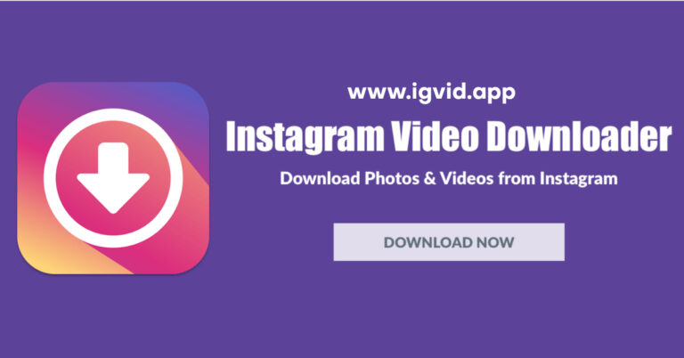 Instagram Video Downloader Apk : Download and Save Videos Instantly