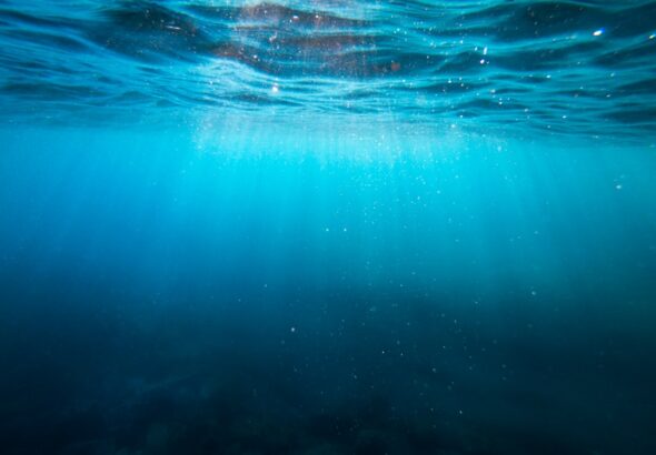 Unleashing Fun: The Sea-Doo Spark Experience