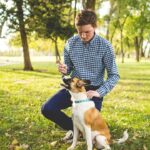 Mastering Dog Training with Sit Means Sit